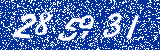 Capcha image