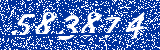 Capcha image